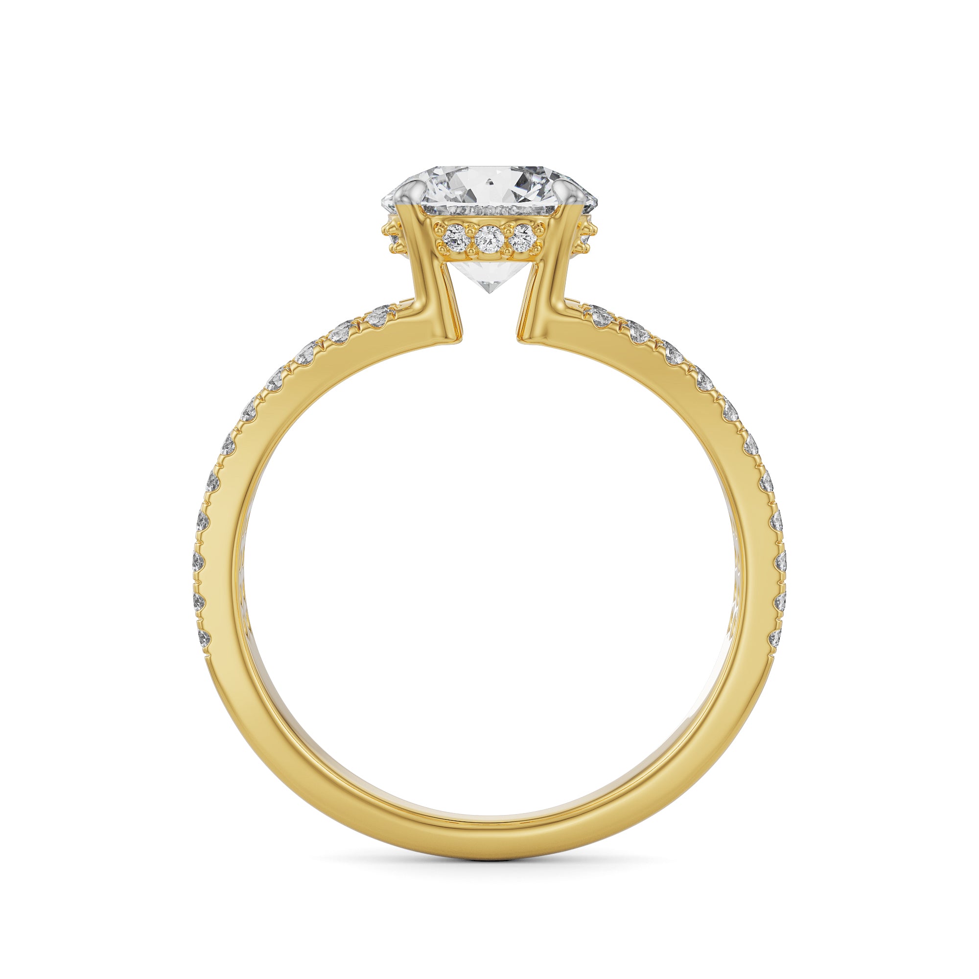 Split Band Round Engagement Ring Back View