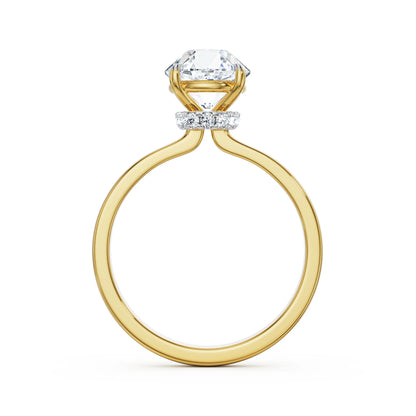 Grace Hidden Halo Lab Grown Diamond Ring - back view in 9KT
